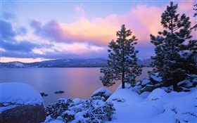 레이크 타호, 겨울, 눈, 나무, 황혼, 미국
