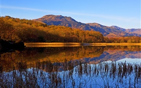 호수, 잔디, 나무, 산, 가을 HD 배경 화면