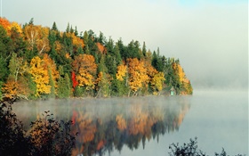 호수, 나무, 안개, 아침, 가을