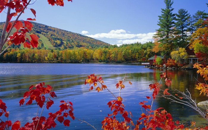호수, 나무, 집, 가을 배경 화면 그림