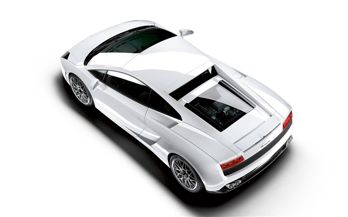 람보르기니 흰색 자동차 상위 뷰 배경 화면 그림