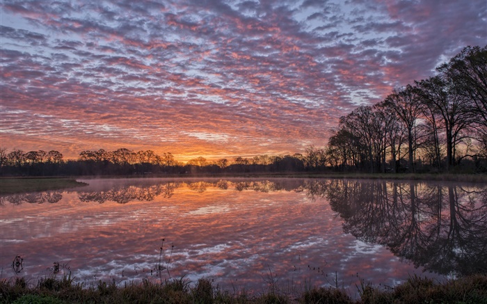 루이지애나 미국, 강, 해안, 물 반사, 나무, 구름, 일몰 배경 화면 그림