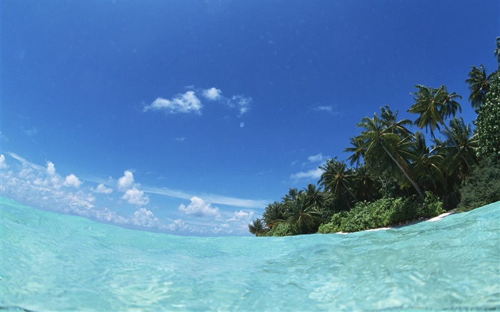 몰디브, 푸른 바다, 물, 섬 배경 화면 그림