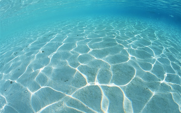 몰디브, 얕은 해변, 푸른 바다, 물 배경 화면 그림