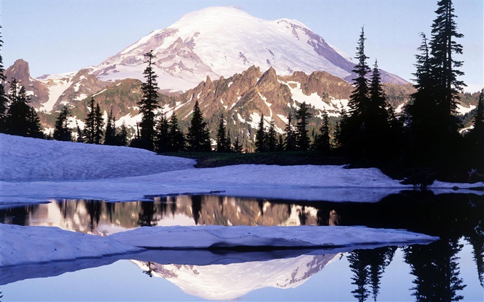 마운트 레이니어, Tipsoo 호수, 산, 나무, 눈, 워싱턴, 미국 배경 화면 그림