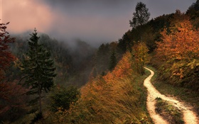 산, 안개, 나무, 보도, 가을 HD 배경 화면