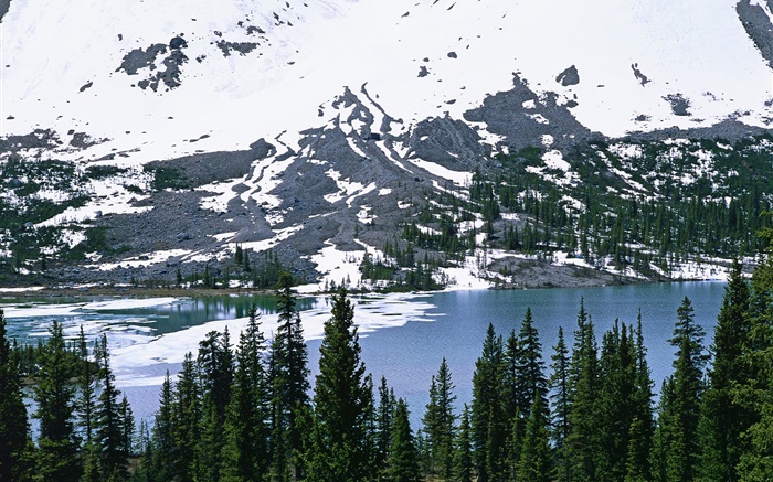산, 눈, 강, 나무 배경 화면 그림