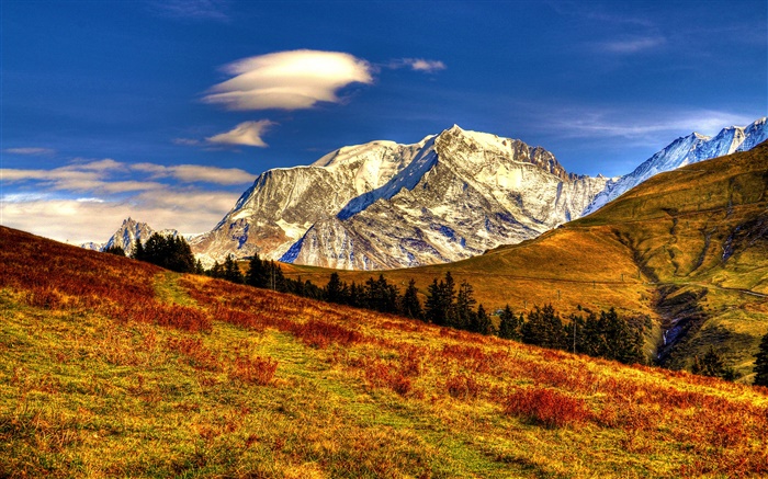 산, 잔디, 나무, 가을, 푸른 하늘 배경 화면 그림