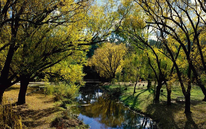 공원, 강, 나무, 호주 배경 화면 그림