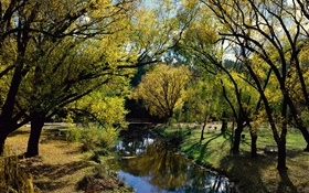 공원, 강, 나무, 호주