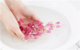 핑크 난초 꽃 꽃잎, 물, 손