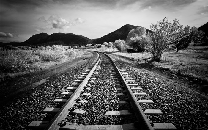 철도, 나무, 산, 검정, 흰색 스타일 배경 화면 그림