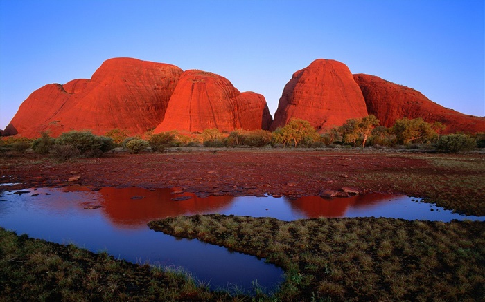 붉은 바위 산, 물, 잔디, 황혼, 호주 배경 화면 그림