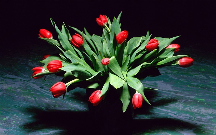 빨간 튤립 꽃, 꽃다발, 꽃병 배경 화면 그림