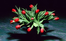 빨간 튤립 꽃, 꽃다발, 꽃병