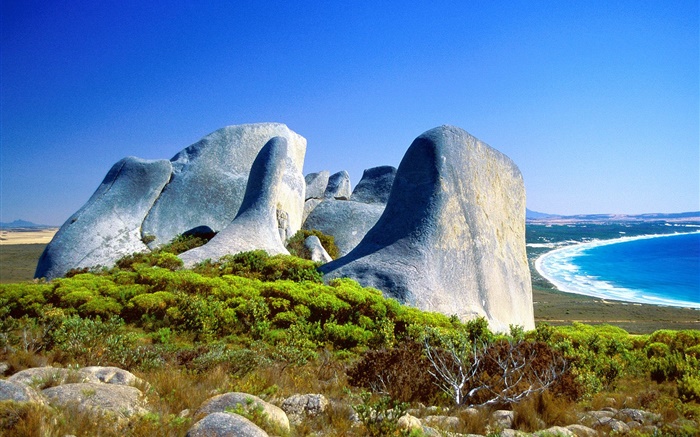 바위, 잔디, 해안, 푸른 바다, 호주 배경 화면 그림