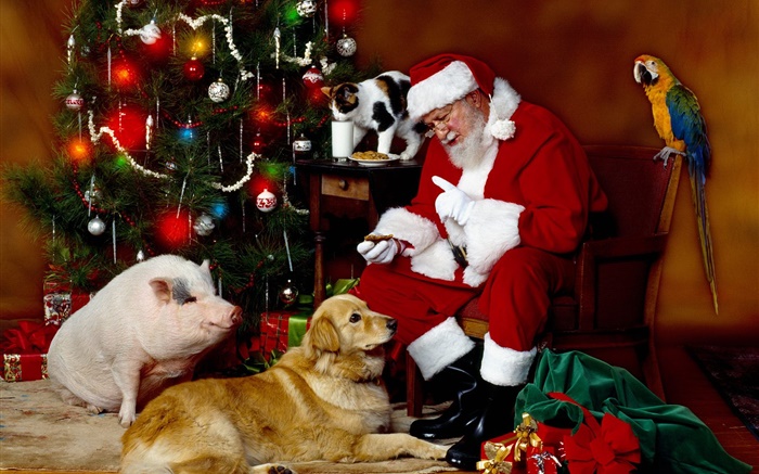 산타 클로스, 동물, 크리스마스 조명 배경 화면 그림