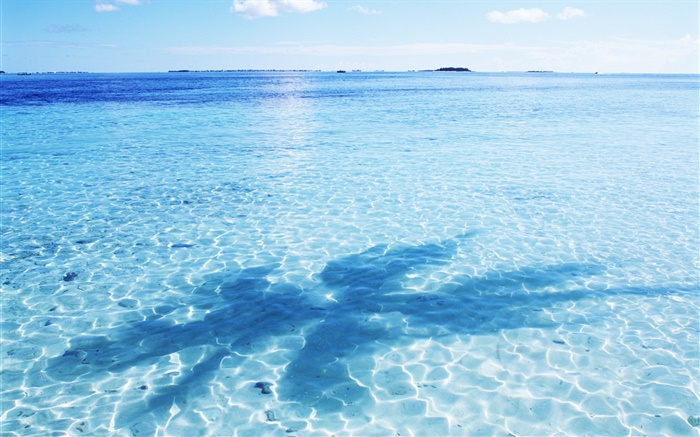 바다, 물, 블루, 눈부심, 파도, 그림자, 몰디브 배경 화면 그림
