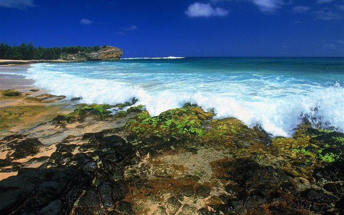 바다 파도, 해안, 황혼, 하와이, 미국 배경 화면 그림