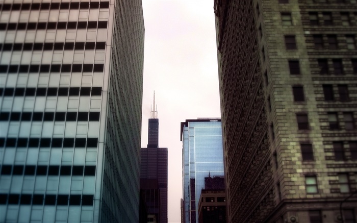 고층 빌딩, 도시 지역보기 배경 화면 그림