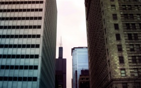 고층 빌딩, 도시 지역보기 HD 배경 화면