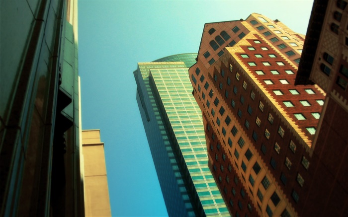 고층 빌딩, 조회, 도시 배경 화면 그림