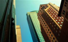 고층 빌딩, 조회, 도시