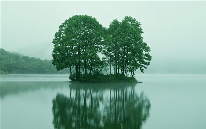 호수 중앙에 작은 섬, 나무, 도쿄, 일본 배경 화면 그림