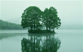 호수 중앙에 작은 섬, 나무, 도쿄, 일본
