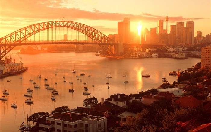 시드니, 호주, 도시 일몰, 다리, 강, 건물, 따뜻한 태양 배경 화면 그림