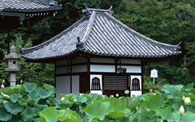 도쿄, 일본, 정원, 사원, 연꽃 연못