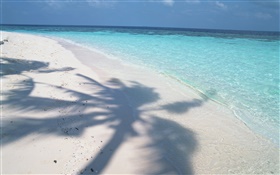 나무 그림자, 몰디브, 해변, 바다, 파도 HD 배경 화면