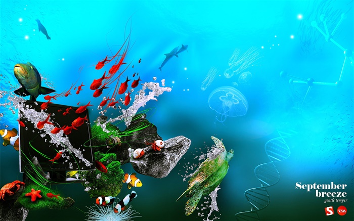 중, 바다, 물고기, 모니터, DNA, 창조적 인 디자인 배경 화면 그림