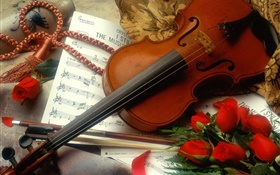 바이올린, 빨간 장미, 음악 HD 배경 화면
