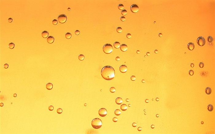 물 방울, 오렌지 배경 배경 화면 그림