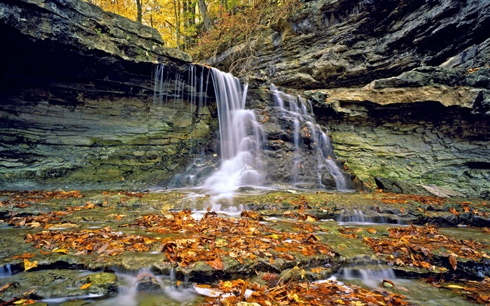 폭포, 바위, 붉은 단풍, 가을 배경 화면 그림