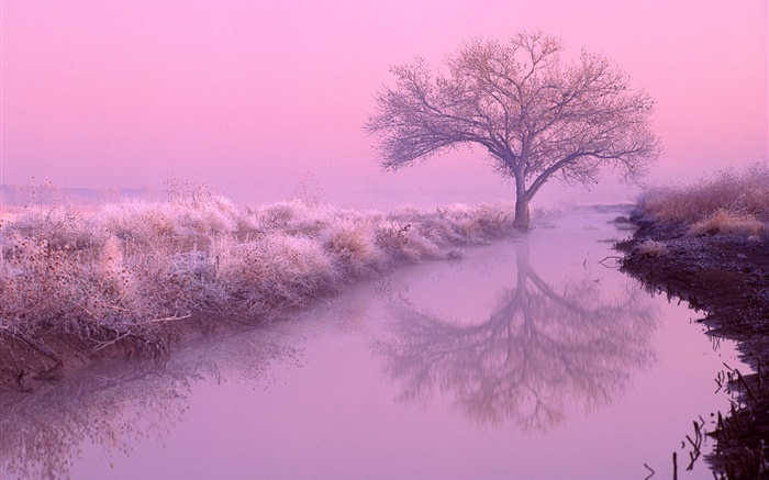 겨울 아침, 서리, 나무, 강, 붉은 하늘 배경 화면 그림