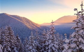 겨울, 산, 눈, 나무, 일몰 HD 배경 화면