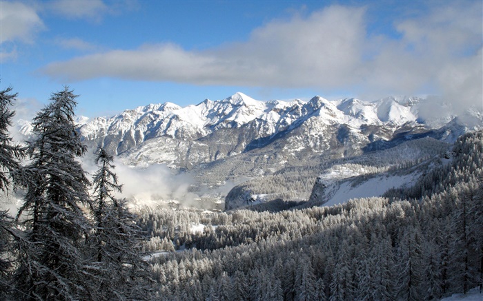 겨울, 산, 나무, 눈, 자연 풍경 배경 화면 그림