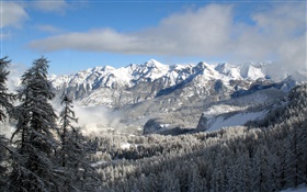 겨울, 산, 나무, 눈, 자연 풍경 HD 배경 화면