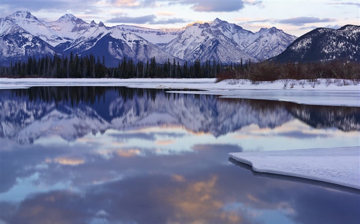 겨울, 눈, 산, 나무, 호수, 물 반사 배경 화면 그림
