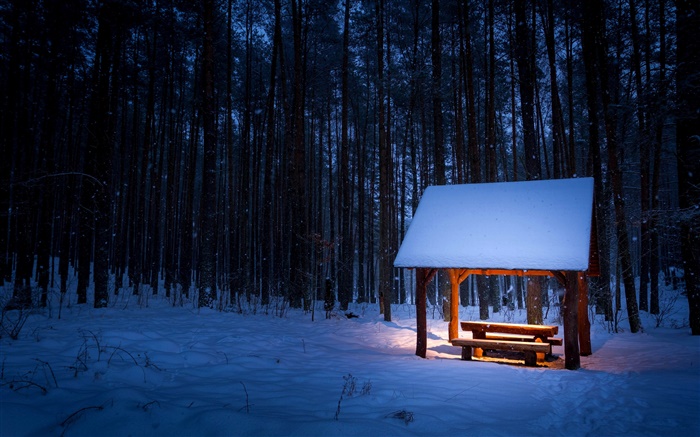 겨울, 나무, 파빌리온, 눈, 밤, 빛 배경 화면 그림