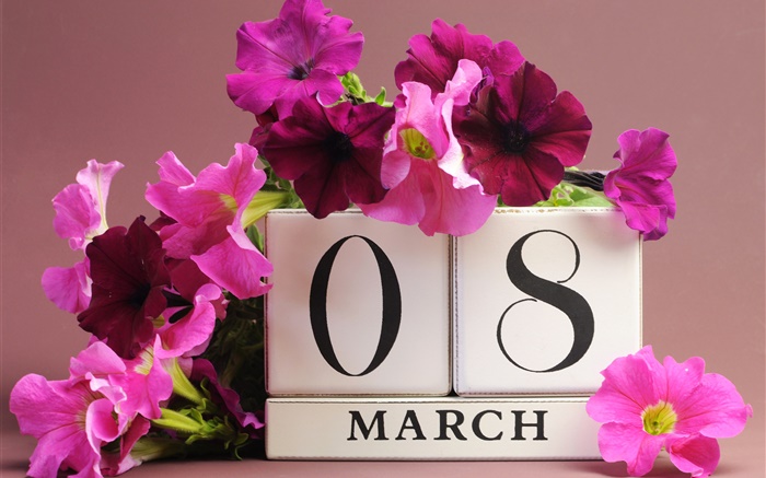 3월 8일, 여성의 날, 핑크 피튜니아 꽃, 날짜 배경 화면 그림