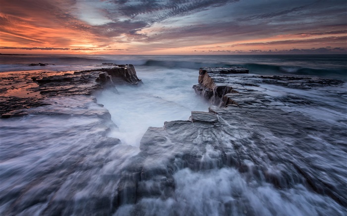 호주, 뉴 사우스 웨일즈, 로얄 국립 공원, 해안, 바다, 바위, 새벽 배경 화면 그림