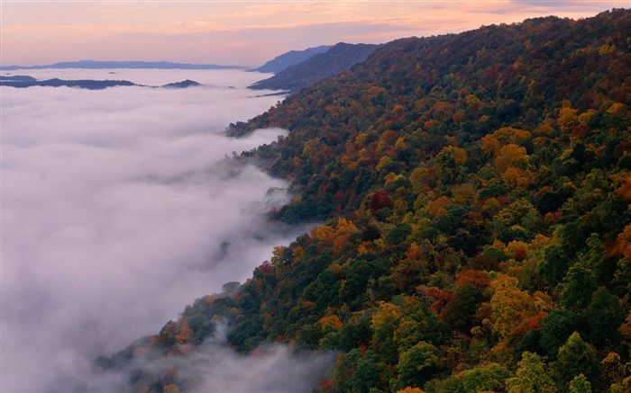 아름다운 자연 풍경, 산, 나무, 가을, 안개, 새벽 배경 화면 그림