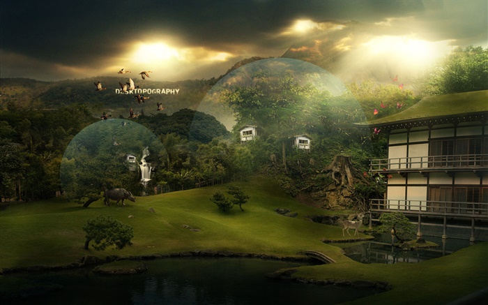 아름다운 마을, 집, 동물, 새, 나비, 크리 에이 티브 디자인 사진 배경 화면 그림