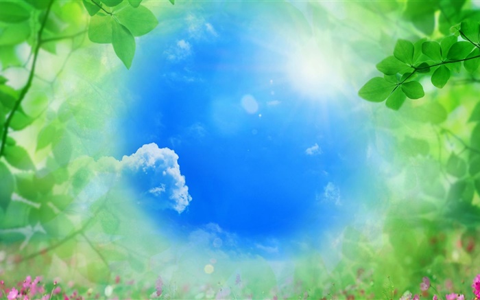 푸른 하늘, 녹색 잎, 태양, 여름 배경 화면 그림
