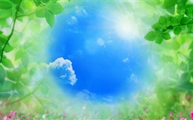 푸른 하늘, 녹색 잎, 태양, 여름 HD 배경 화면