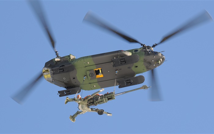 CH-147 치누크, 군사 수송 헬기 배경 화면 그림