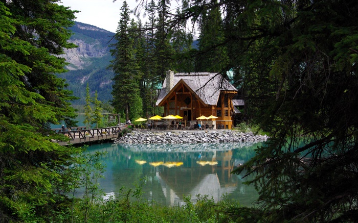 캐나다, 에메랄드 호수, Yoho 국립 공원, 숲, 호수, 집 배경 화면 그림